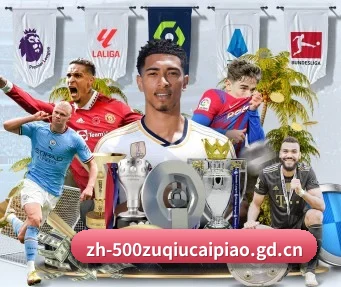500万网彩票 APP